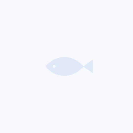 Fish4All Spinner Box (12pcs)