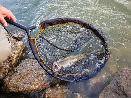 Flyfishing nets