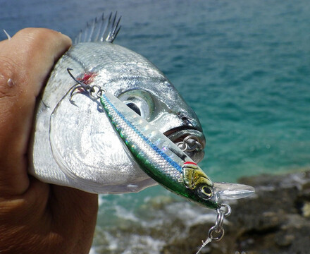 Sea fishing lures