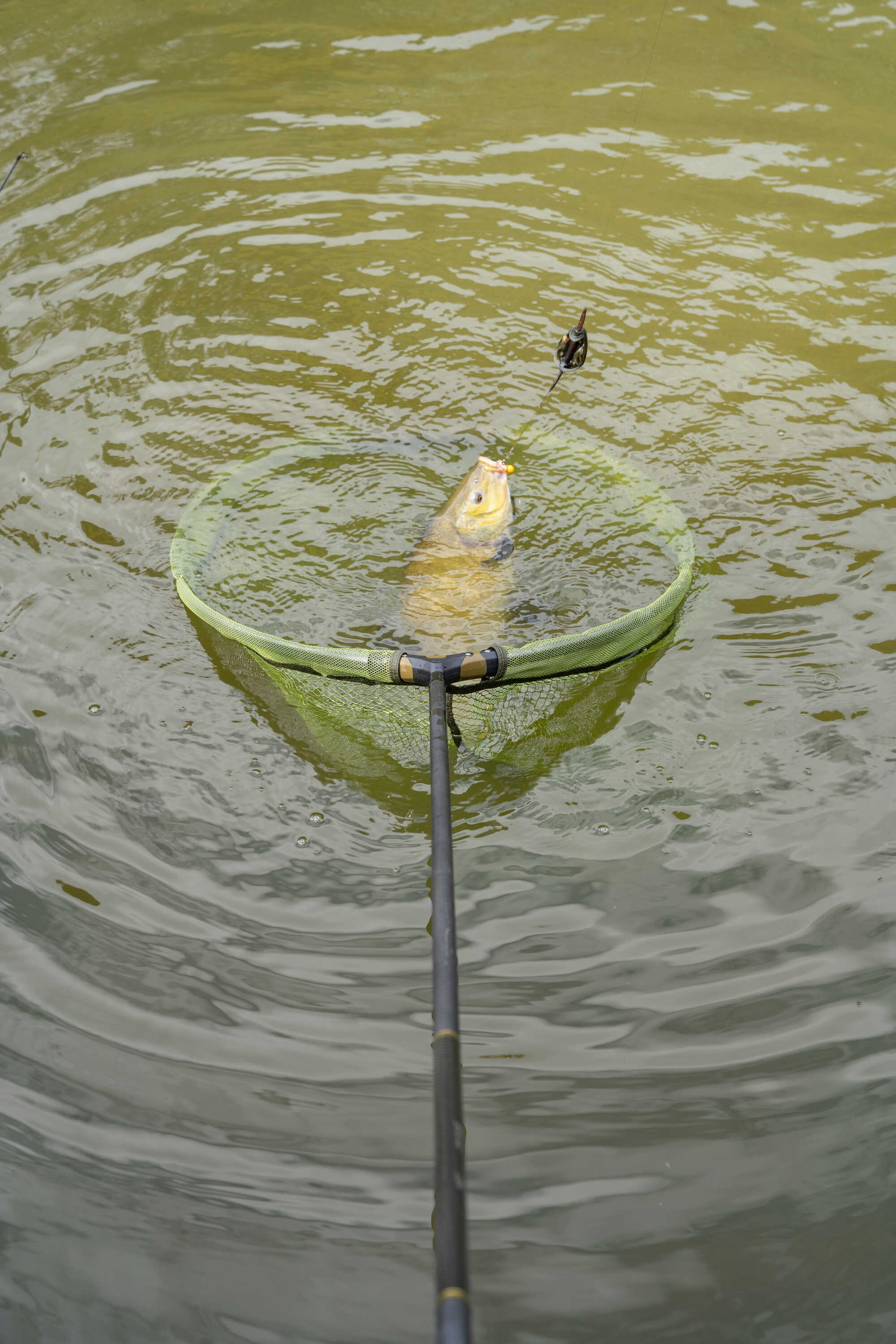 Korum Power Folding Spoon Latex Landing Net