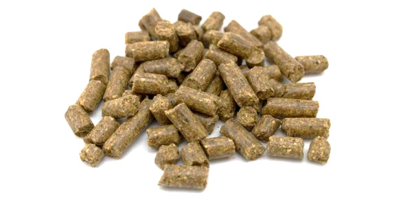 Bulk Pack 20 kg Baby Corn Pellets in 3 or 8 mm (6 available flavours) - Fishmeal with no less than 20% fishmeal