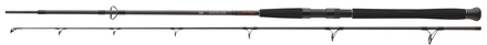 Daiwa Exceler CF Spin Catfish Rod