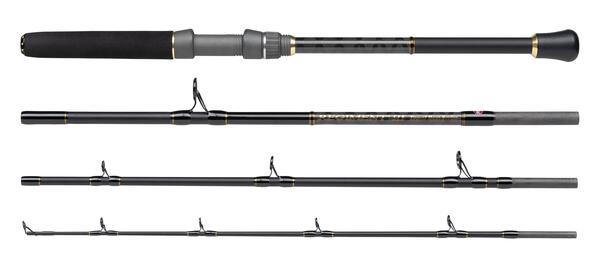 Penn Regiment III Spin Travel/Boat Rod (4 parts)