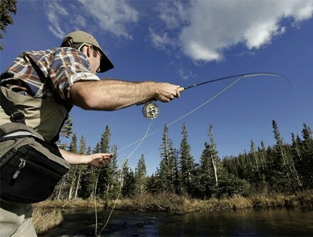 Fly fishing rods