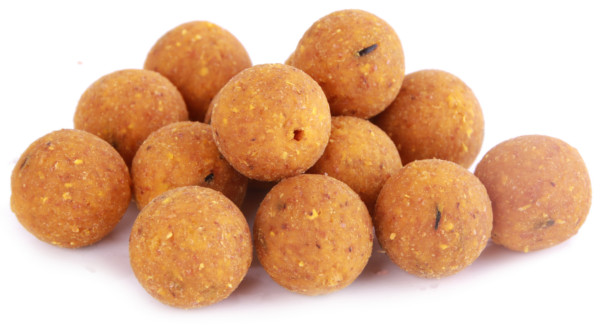 5 kg Ready-Made Q-Boilies in 15 or 20 mm - Scopex Cream