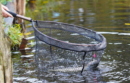 Trout landing nets