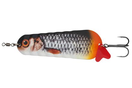 Looking for Catfish tackle? | Daily deals