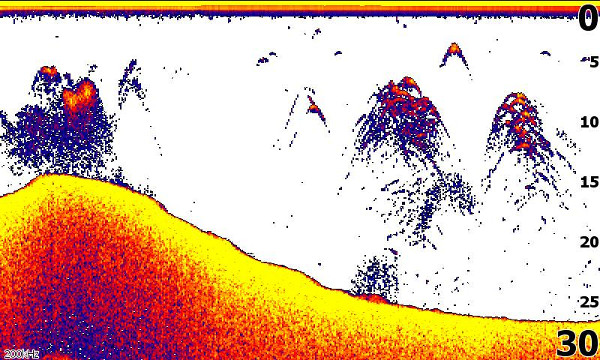 Lowrance Hook² 5 TripleShot with High CHIRP, SideScan and DownScan