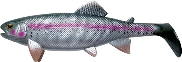 Jackson Shad The Trout (Rainbow Trout) at low prices