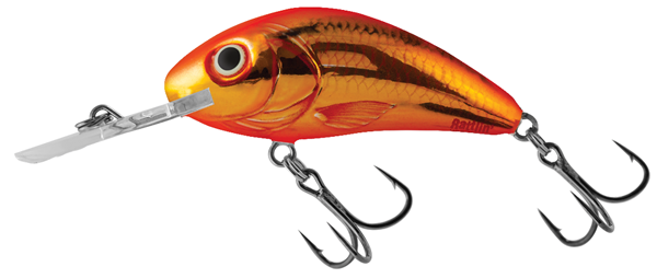 SALMO RATTLIN HORNET FLOATING 4.5CM GOLD FLUO PERCH – All Out Angling