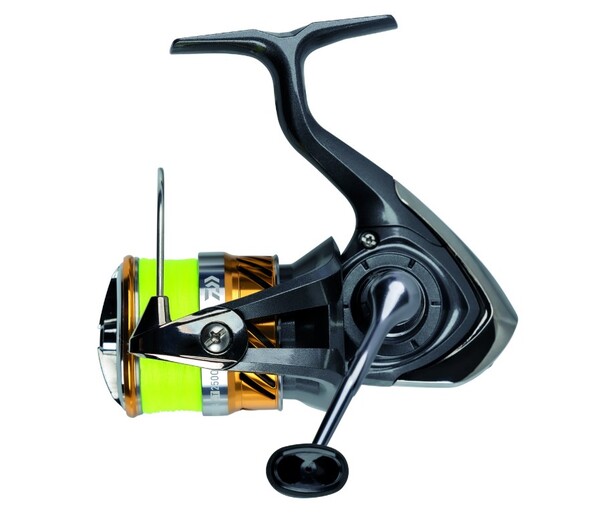 Daiwa 20 Laguna LT Spin reel (Includes Braided Line!)