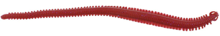 Berkley Gulp! Alive Saltwater Sandworm