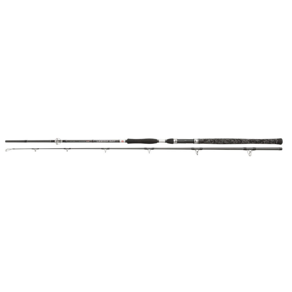 Penn Legion® Cat Silver All-round Catfish Rod