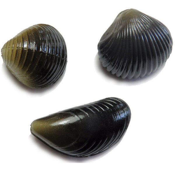 Behr Carp Imitation Mussels