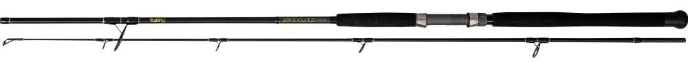 Black Cat Premium Catfish Rod Solid Spin Full Carbon Fishing Rod with 30  Tonnes Blank Spinning Fishing on Catfish Catfish Rod Spinning Rod, Black,  2.40 m : : Sports & Outdoors