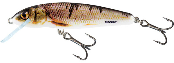 Salmo Minnow 6 cm Floating - Wounded Dace