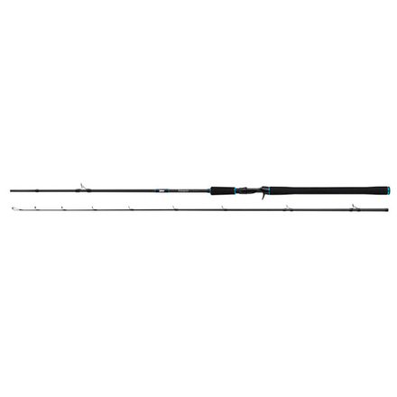 Salmo Trollmaster 240cm 40-60g